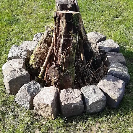 Choczewski Zakatek Orman Evi *