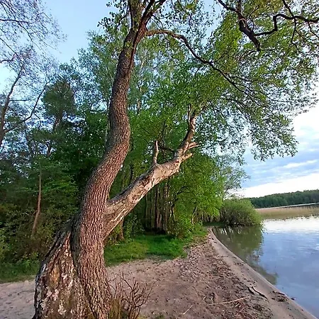 Orman Evi Choczewski Zakatek *