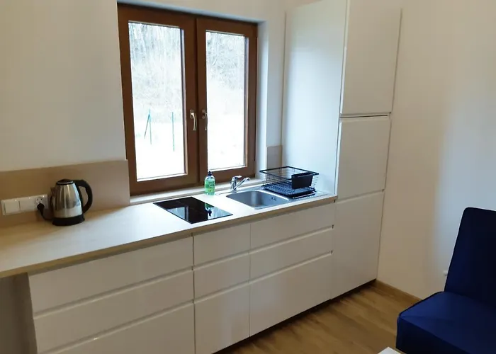 Деревянный коттедж Choczewski Zakatek