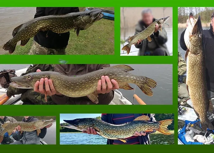 Choczewski Zakatek Деревянный коттедж *