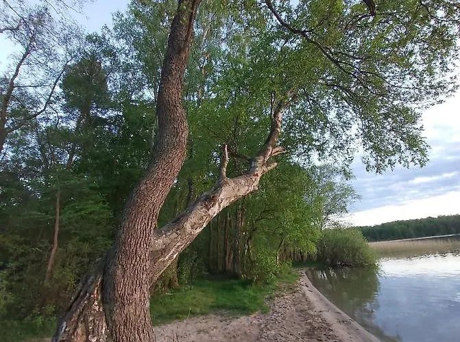 Choczewski Zakatek *